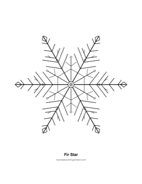 Winter & Snowflake Mandalas coloring page — 20 Fir Star