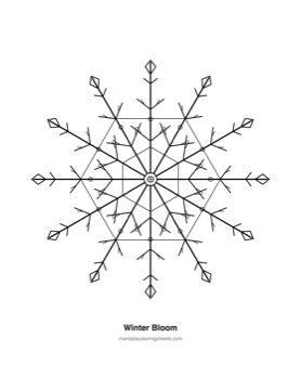 Winter & Snowflake Mandalas coloring page — 21 Winter Bloom