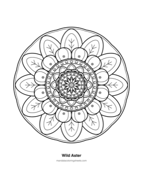 Floral Mandalas coloring page — 01 Wild Aster