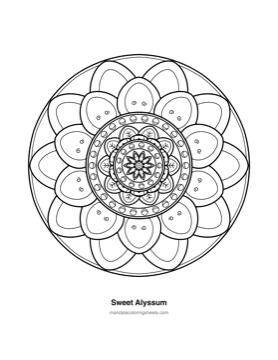 Floral Mandalas coloring page — 18 Sweet Alyssum
